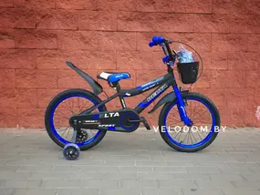 Детский велосипед Delta Sport 18 (черный/синий, 2019) 1