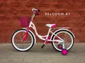 Детский велосипед Delta Butterfly 2007 20 (белый) 1