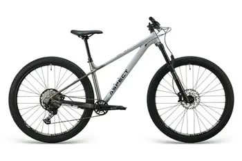 Aspect Ronin Elite 29 Бежевый 1