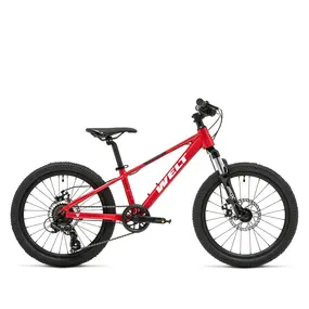 Детский велосипед Welt Brave 1.0 20 MD 2025 (sparkling red) 1