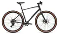 Велосипед Welt Stroke L 2025 (Urban Gray) 1