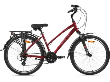 Велосипед AIST Cruiser 2.0 W р.13.5 2024 (красный) 1