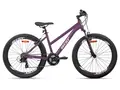 Aist Rosy 1.0 26 фиолетовый 1