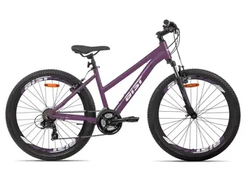 Aist Rosy 1.0 26 фиолетовый 1