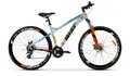 Aist Rocky 3.0 Disc 29 серый 1