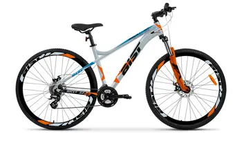 Aist Rocky 3.0 Disc 29 серый 1