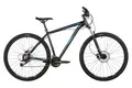 Stinger Graphite Evo 29 черный 1
