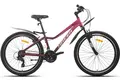 Racer Vega 26 розовый/багровый 1