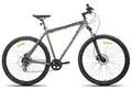 Racer Expert 29 бронзовый 1