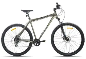 Racer Expert 29 бронзовый 1