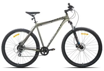 Racer Expert 29 бронзовый 1