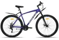 Racer Boxfer 29 фиолетовый-серебристый 1
