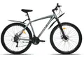 Racer Boxfer 29 серый глянцевый с серебристым металлическим стикером 1