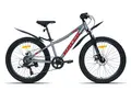 Racer Tempo 24 серый/красный 1