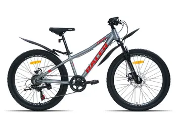 Racer Tempo 24 серый/красный 1