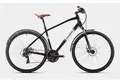 Titan Racing Transporter Berlin Midnight Shine 1