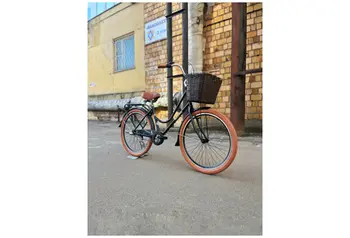 Foxter Holland 26 черный 1