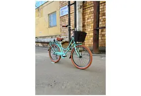 Foxter Holland 26 мятный 1