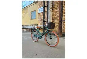 Foxter Holland 26 изумрудный 1