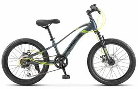 Stels Leader-230 MD Cерый/черный 1