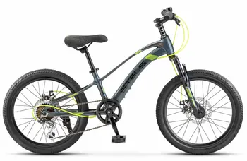 Stels Leader-230 MD Cерый/черный 1
