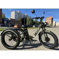 Электровелосипед Smart Balance Tank Trike 2024 (камуфляж) 1
