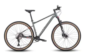 Велосипед Hagen 1.9 L 2025 (пасмурный серый) 1