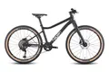 Hagen Teen Pro 24  черный матовый 1
