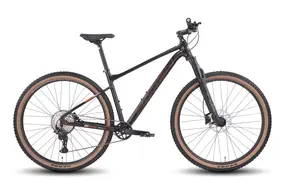 Велосипед Hagen 4.8 29 L 2025 (тяжелый металл) 1