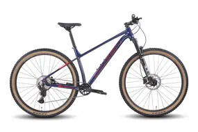 Велосипед Hagen 3.9 29 L 2025 (штормовой синий) 1