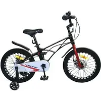 Детский велосипед Favorit Super Sport SSP-18BK (черный) 1