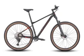 Велосипед Hagen 4.10 29 L 2025 (тяжелый металл) 1