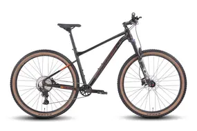 Велосипед Hagen 4.9 29 L 2025 (тяжелый металл) 1