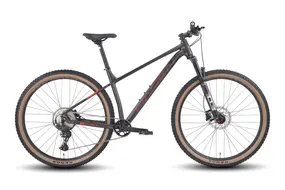 Велосипед Hagen 3.11 29 L 2025 (черный металлик) 1