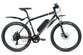 Электровелосипед E-Forward Cyclone Plus 26 E-250  серый 1