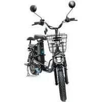 Электровелосипед Smart Balance Master 2024 1