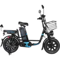 Электровелосипед Smart Balance Master 2024 1