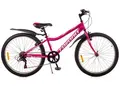 Favorit Sirius 24 фиолетовый 1