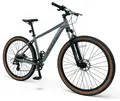 Велосипед Level Phantom 1.0 29 Gray 1