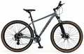 Велосипед Level Phantom 1.0 29 Gray 1