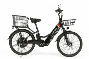 Электровелосипед SameBike E-ALFA 350w 36v черный 1