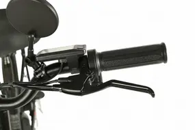 Электровелосипед SameBike E-ALFA 500w 48v черный 1