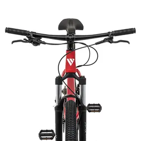 Велосипед Welt Rocket 1.0 29 HD (Damask Red) 1