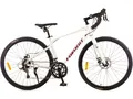 Велосипед Favorit Pegasus 700C белый 1