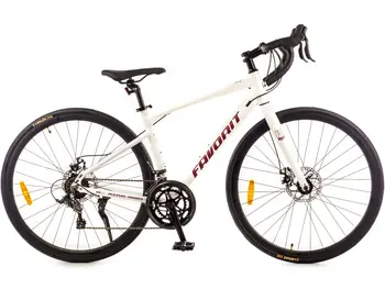 Велосипед Favorit Pegasus 700C белый 1