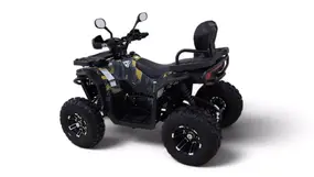 Взрослый бензиновый квадроцикл MOTAX GRIZLIK W200 LUX черный-коричневый камуфляж 1