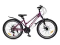 Велосипед Greenway Colibri-H 24 фиолетовый-розовый 1