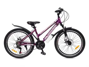 Велосипед Greenway Colibri-H 24 фиолетовый-розовый 1