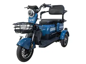 Электротрицикл Smart8 BULBASH Синий 1
