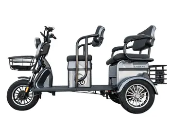 Электротрицикл Smart8 BULBASH PRO Черный 1
